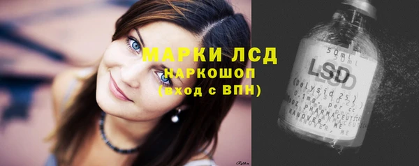 дурь Магас