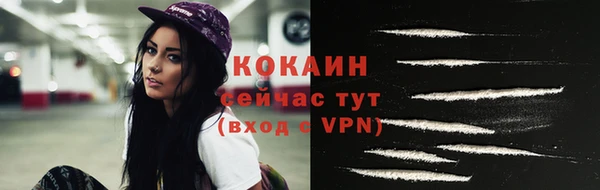 дурь Магас
