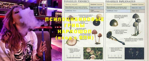 бошки Магадан
