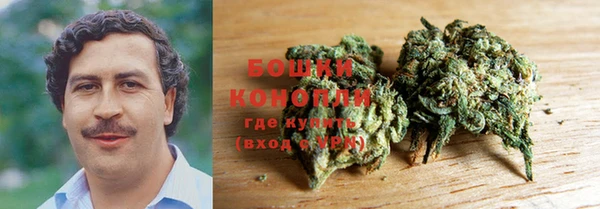 дурь Магас
